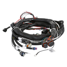 Load image into Gallery viewer, Efi-Gen-V-Lt-Engine-Main-Harness