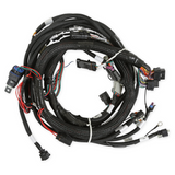 Holley 558-129  Efi Gen V Lt Engine Main Harness