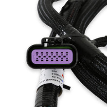 Load image into Gallery viewer, Efi-Gm-Gen-V-Gdi-Subharness