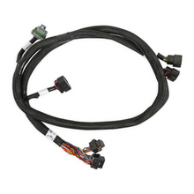 Load image into Gallery viewer, Efi-Gm-Gen-V-Gdi-Subharness
