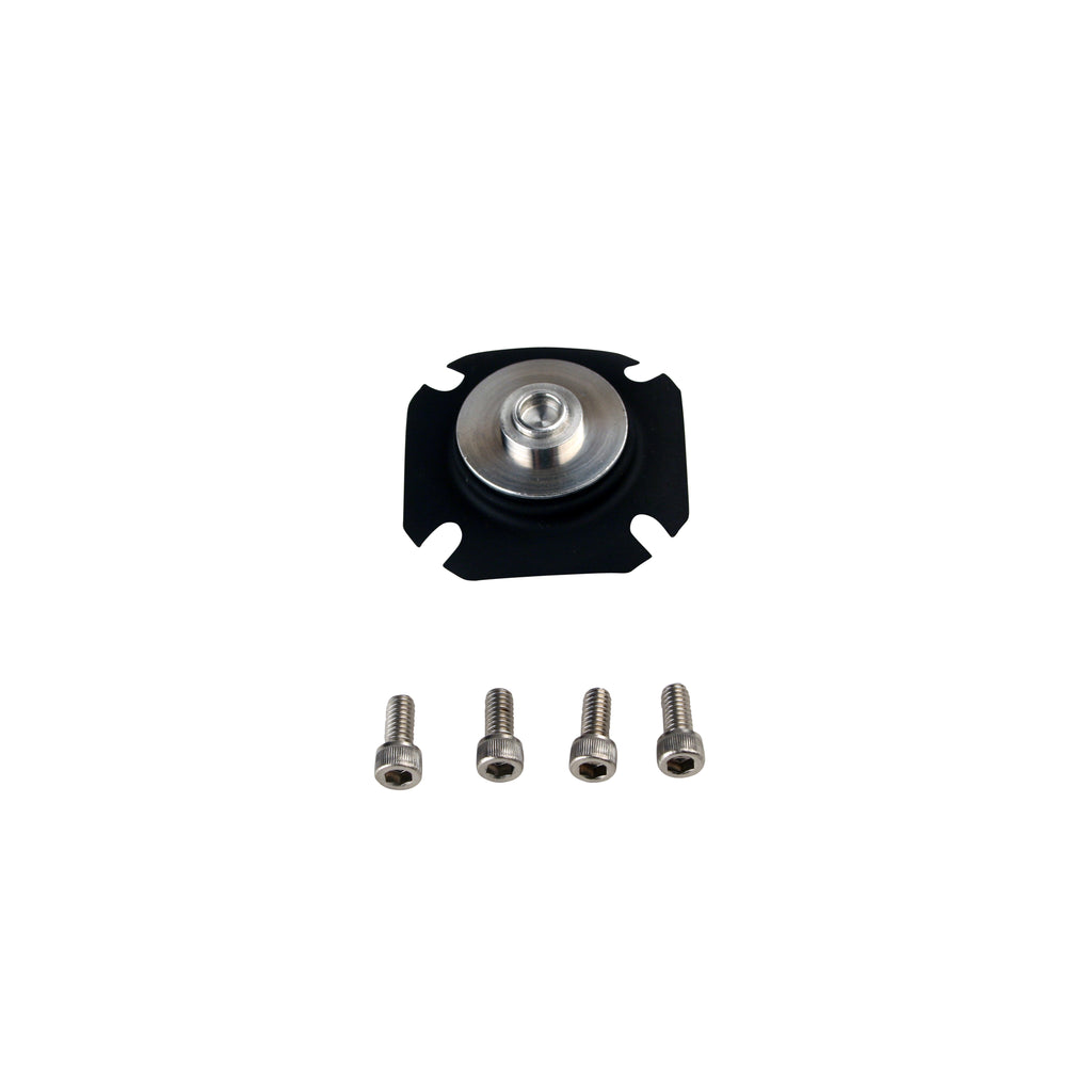 Efi-Regulator-Repair-Kit-(For-13105131551310613107131151311613129)