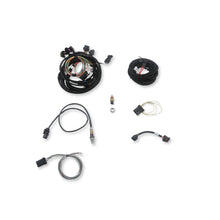 Load image into Gallery viewer, Efi-Terminator-X-Stealth-2X4-4500-Kit---Black