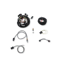 Load image into Gallery viewer, Efi-Terminator-X-Stealth-2X4-4500-Kit---Black