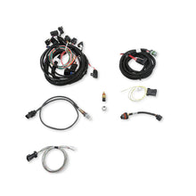 Load image into Gallery viewer, Efi-Terminator-X-Stealth-2X4-4500-Kit---Shiny