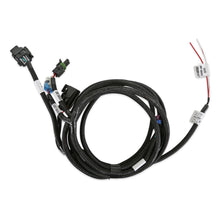 Load image into Gallery viewer, Efi-Transmission-Harness---T-56