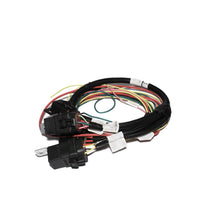 Load image into Gallery viewer, Electric-Fan-And-Fuel-Pump-Harness-For-Xfi