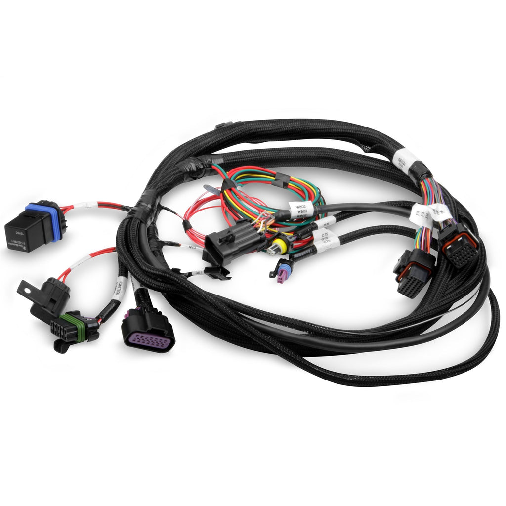 Engine-Control-Module-(Ecm)-Wiring-Harness