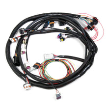 Load image into Gallery viewer, Engine-Main-Harness-Ford-5.0L5.8L