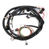 Holley 558-128  EFI Engine Main Harness