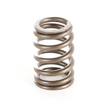 OMIX-ADA 17402.10 Engine Valve Spring; 87-97 YJ/XJ/MJ/ZJ/SJ