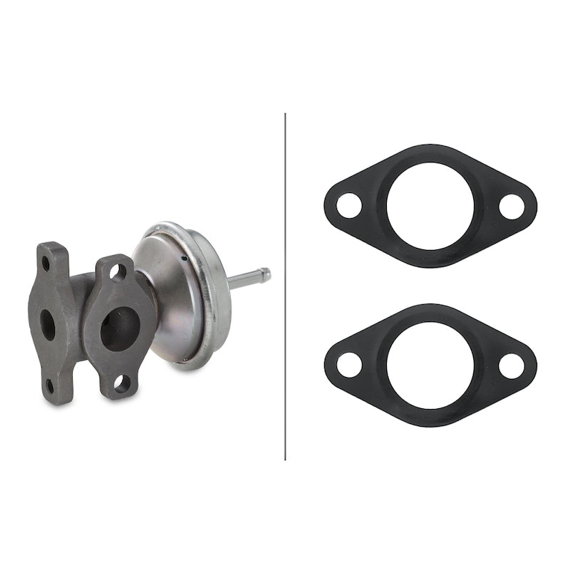 Exhaust-Gas-Recirculation-(Egr)-Valve