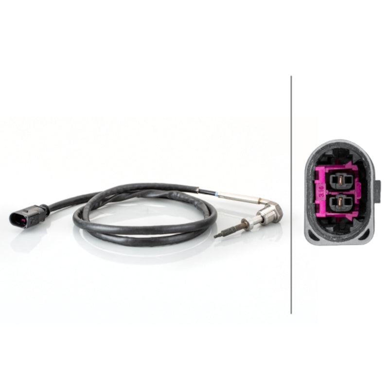 Exhaust-Gas-Temperature-(Egt)-Sensor