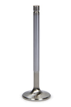 Load image into Gallery viewer, FERREA F1092P-1 SBC C/P HS 1.600 Exhaust Valve