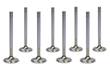 Load image into Gallery viewer, FERREA F1092P-8 SBC C/P HS 1.600 Exhaust Valves