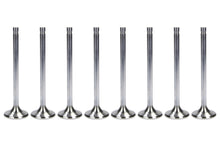 Load image into Gallery viewer, FERREA F1483P-8 SBC C/P 1.625 Exhaust Valves