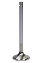 Load image into Gallery viewer, FERREA F1811P-1 SBC C/P 1.600 Exhaust Valve