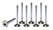 Load image into Gallery viewer, FERREA F2039P-8 SBC C/P HS 1.500 Exhaust Valves 4.910 OAL