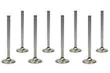 Load image into Gallery viewer, FERREA F2301P-8 SBC C/P 1.600in Exhaust Valves