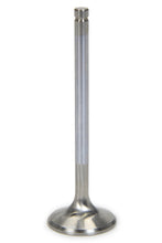 Load image into Gallery viewer, FERREA F6271-1 1.570 C/6 Exhaust Valve GM LS 8mm 4.915 AOL