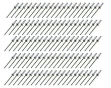 Load image into Gallery viewer, FIVESTAR 815-100S Small Head Rivet Silver 100pc 1/8in