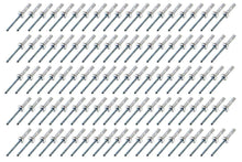 Load image into Gallery viewer, FIVESTAR 816-100S Small Head Rivet Silver 100pc 3/16in