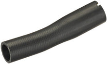Load image into Gallery viewer, Spectra Premium FNH176 Fuel Filler Hose