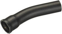Load image into Gallery viewer, Spectra Premium FNH178 Fuel Filler Hose