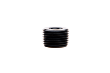 Load image into Gallery viewer, Fleece Performance FPE-NPT-18 1/8" NPT Hex Socket Plug Black