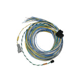 FUELTECH USA 2001005571 FT550 B Harness 10ft