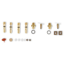 Load image into Gallery viewer, Fast-Kit-Carburetor-Rebuild-Kit