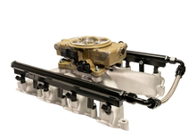 Load image into Gallery viewer, FiTech Fuel Injection 37003 FI System Kit