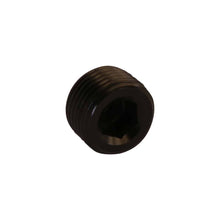 Load image into Gallery viewer, Fitting---Plug---38In-Npt