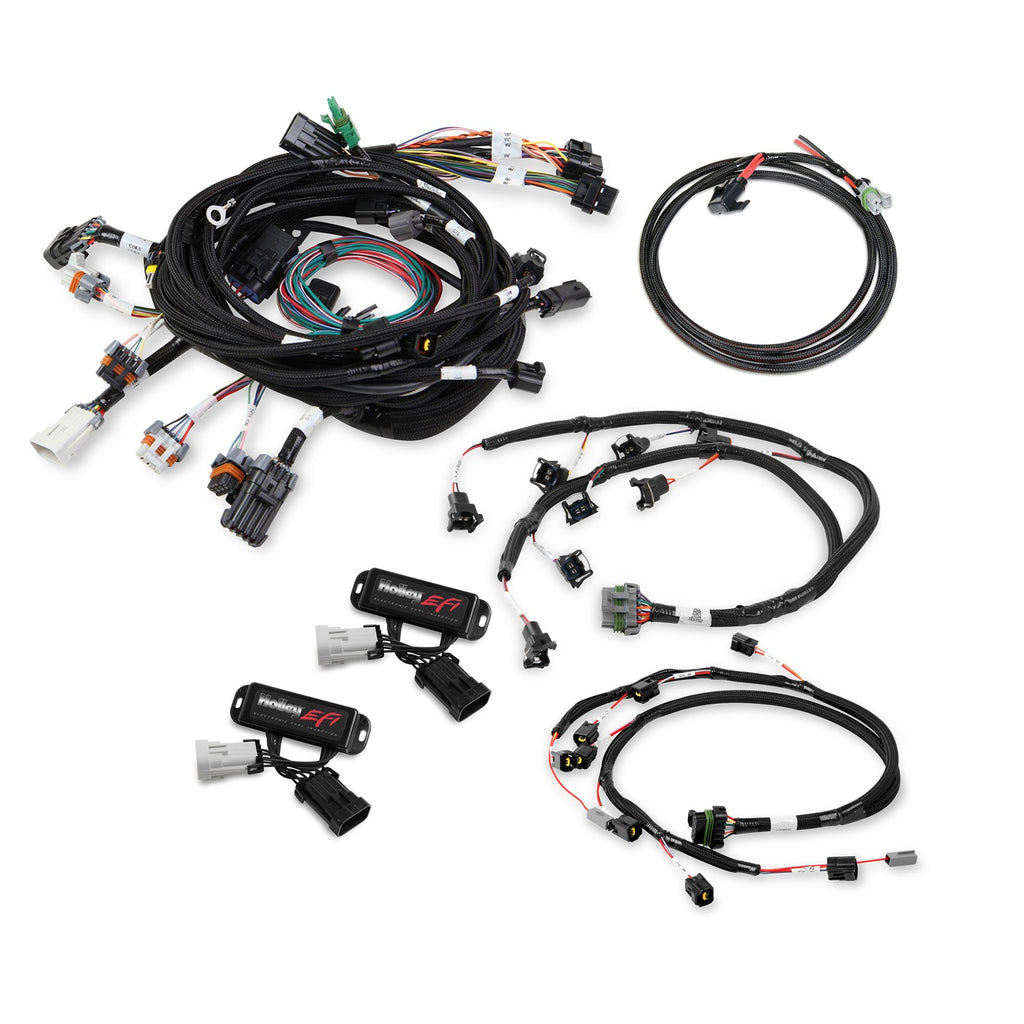 Ford-Modular-2-Valve-Efi-Harness-Kit