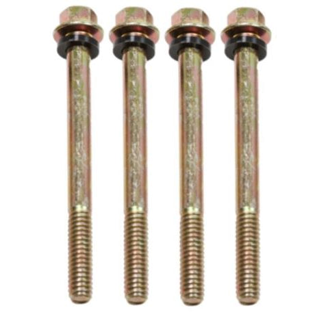 Fuel-Bowl-Screws-(Med)[1-78]-Gold--Gaskets-5-4