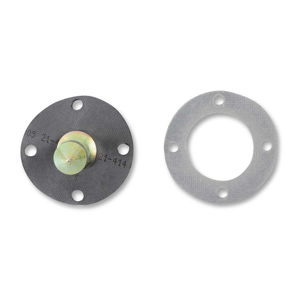 Fuel-Injection-Pressure-Regulator-Seal