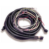 Holley 534-25-1 Throttle Body Wiring Harness
