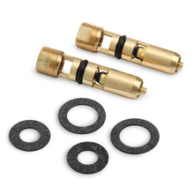 Load image into Gallery viewer, Fuel-Inlet-Needle--Seat-Assy-.130-Viton
