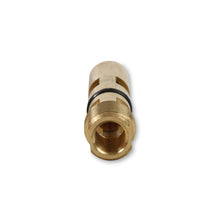 Load image into Gallery viewer, Fuel-Inlet-Needle--Seat-Assy-.130-Viton