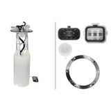 Hella 358302201 Fuel Pump and Sender Assembly