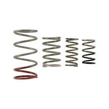 Load image into Gallery viewer, Gen-V-Iwg-Spring-Replacement-Kit