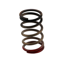 Load image into Gallery viewer, Gen-V-Wg4045-Hp-40-Psi-Spring-Upgrade---BlackRed