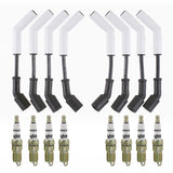 ACCEL 819070  Gm Gen 4 Ls Tune-Up Kit