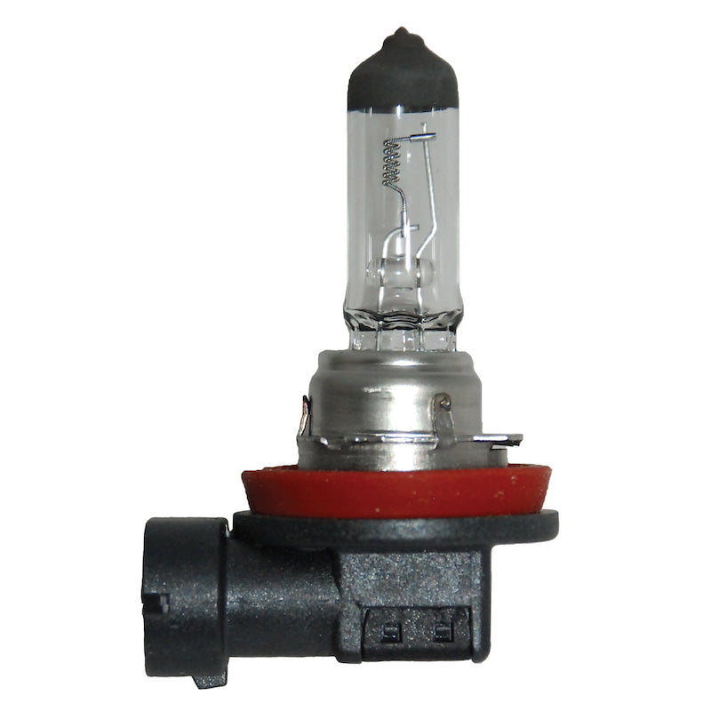 H11-24V-Standard-Series-Halogen-Light-Bulb