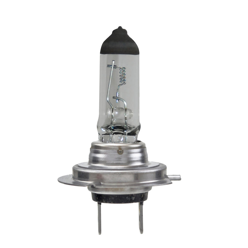 H7-24V-Ll-Long-Life-Series-Halogen-Light-Bulb