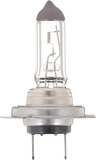 Philips H7B1 Standard Headlight H7 - Qty 1