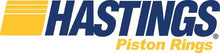 Load image into Gallery viewer, HASTINGS 101 Piston Ring Application Guide 2008