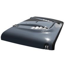 Load image into Gallery viewer, DV8 Offroad HDMB07-TA Hood; 10Th Anniversary for Select Jeep Wrangler, Jeep Wrangler JK