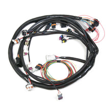 Load image into Gallery viewer, HOLLEY 558-104 Main Harness - Universal MPFI