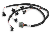 Load image into Gallery viewer, HOLLEY 558-213 Injector Harness Ford w/ Jetronic Injectors