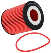 Load image into Gallery viewer, K&amp;N HP-7043 Oil Filter for Select Ford F-150, Land Rover Discovery, Land Rover Range Rover, Land Rover Range Rover Sport